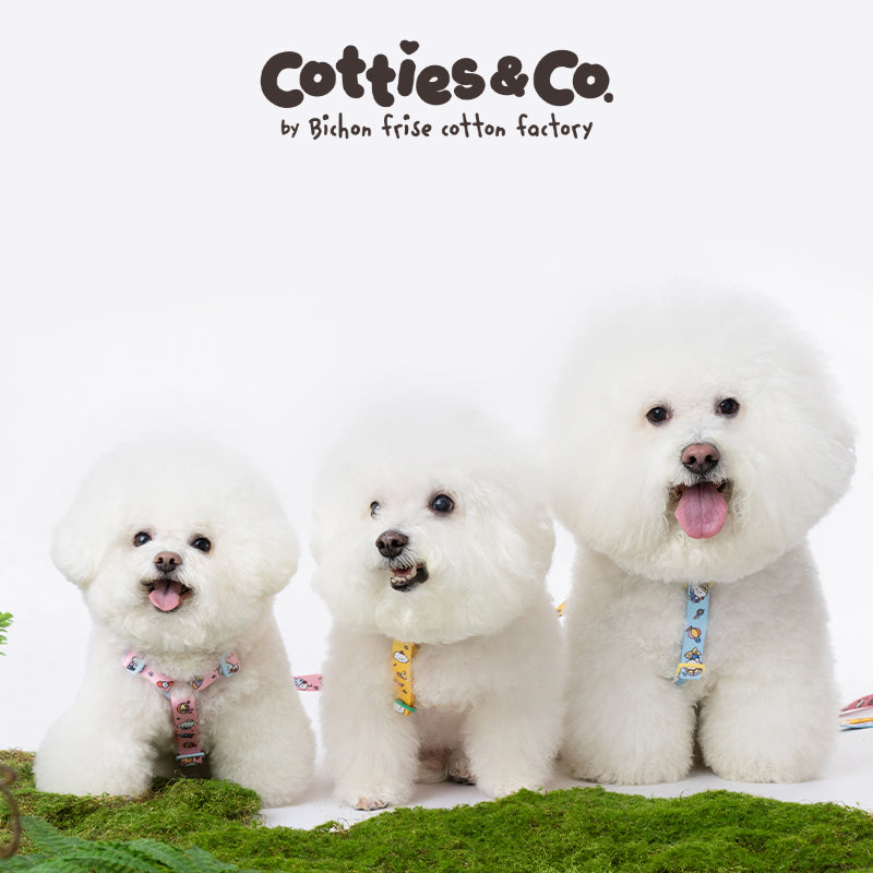 Peppy Series Easy Walk Harness