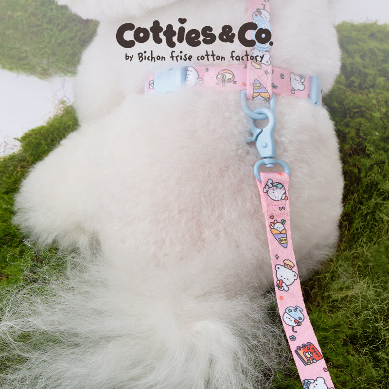 Peppy Series Multi-Purpose Leash