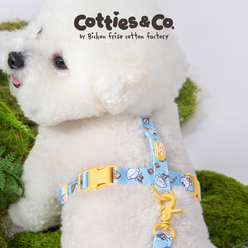 Peppy Series Easy Walk Harness