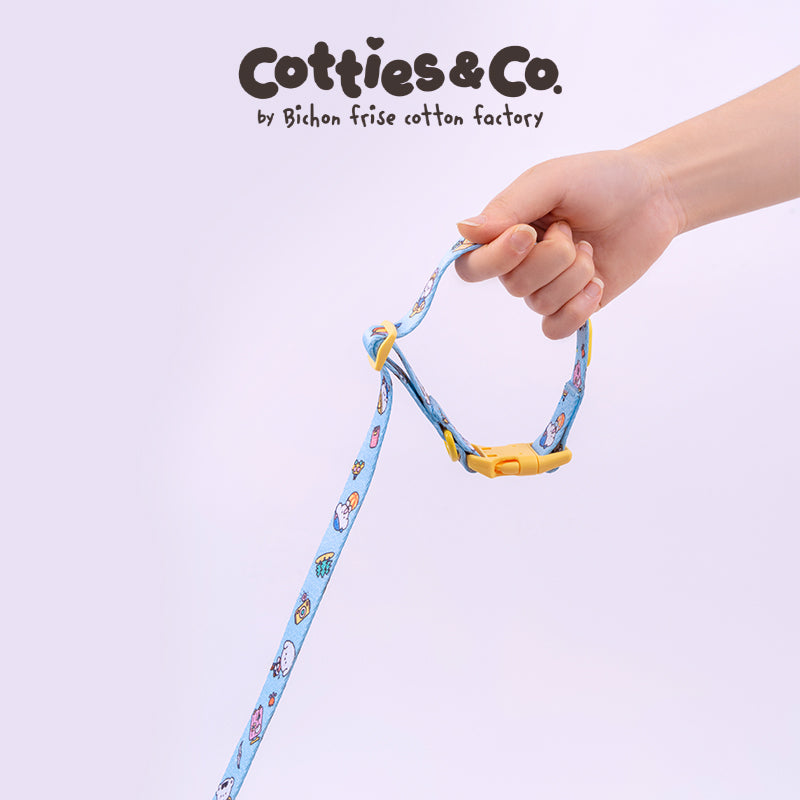 Peppy Series Multi-Purpose Leash